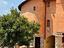 Immagine 10