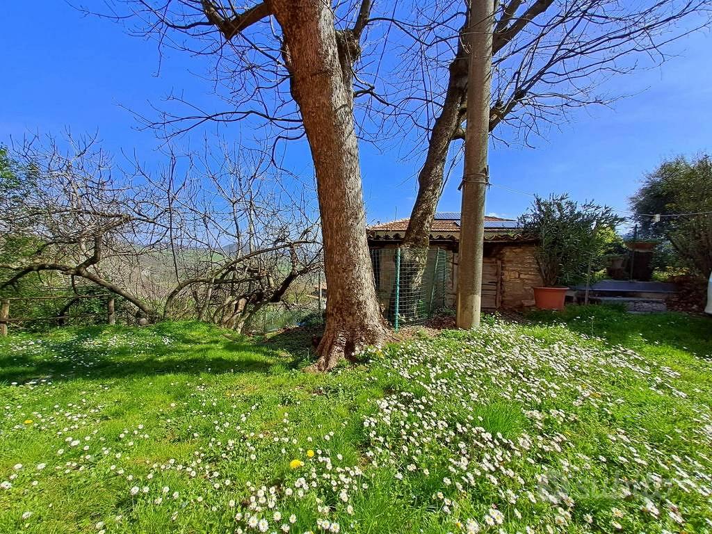 Rustico / Casale di 231 m² con più di 5 locali e b - Vista 5