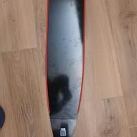 Pinne in carbonio pala