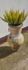 vaso con pianta 