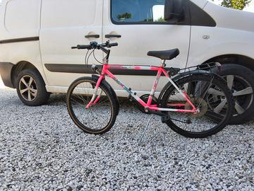 Bici ragazzi ruota da 24 con cambio 