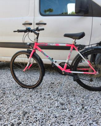 Bici ragazzi ruota da 24 con cambio 
