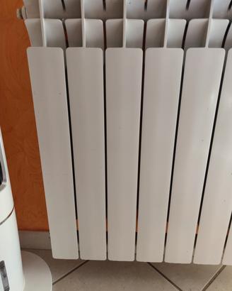 Radiatore 6 elementi