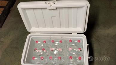 Vasca del vivo ghiacciaia