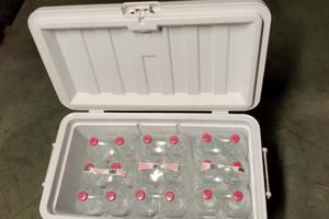 Vasca del vivo ghiacciaia