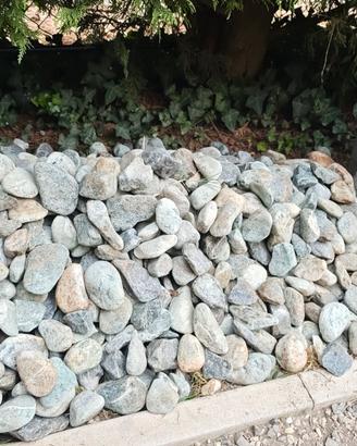 sassi da giardino grigio fiume