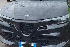 alfa romeo junior speciale 