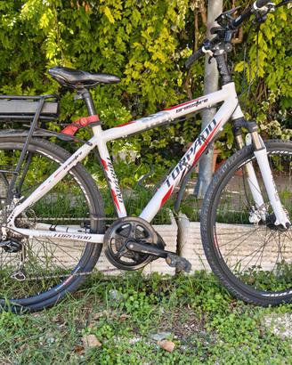 Bicicletta elettrica
