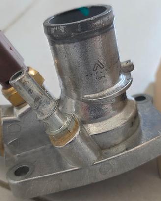 Termostato Fiat 
