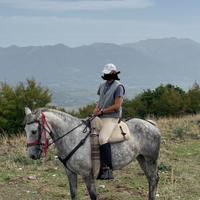 Cavalla San Fratellano "SANA"super per Trekking