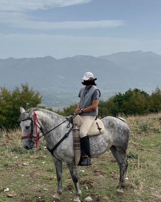 Cavalla San Fratellano "SANA"super per Trekking