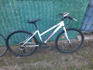 biciclette