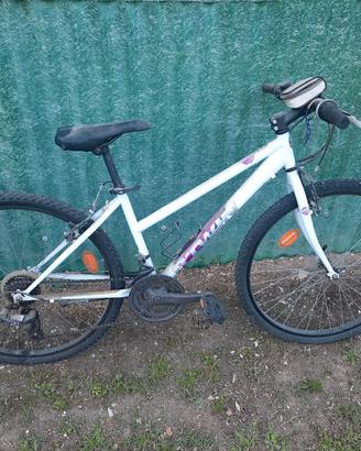 biciclette