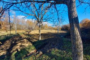 Casa indipendente - Mirabello Sannitico