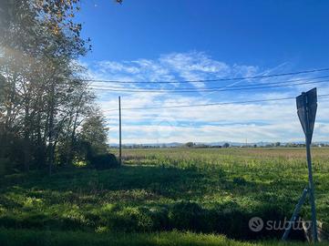 TER. AGRICOLO A RAVENNA