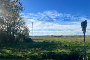 TER. AGRICOLO A RAVENNA