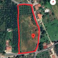 Terreno edificabile Anagni