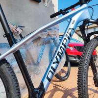 sottocosto Mtb carbonio Olympia iron