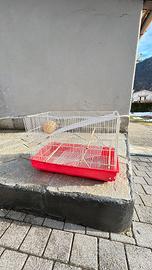 gabbietta x uccellini