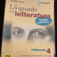 Lo sguardo della letteratura 4