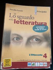 Lo sguardo della letteratura 4