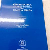 Grammatica Teorico- Pratica Della Lingua Araba