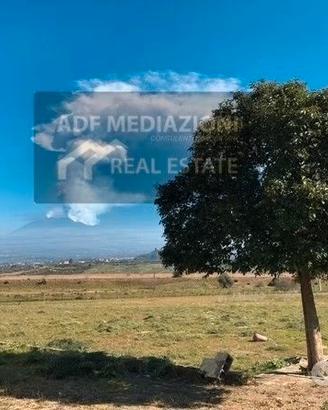 Terreno Agricolo Con Uliveto