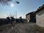 Immagine 11