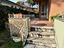 Immagine 4