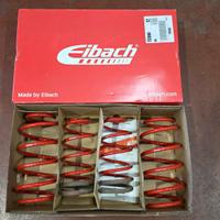 molle Eibach Fiat Punto