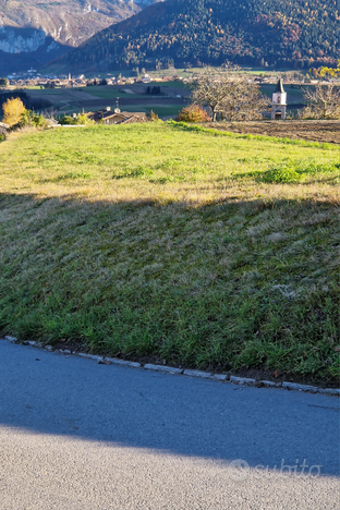 Terreno agricolo