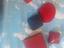 Immagine 3