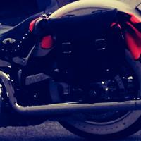 Harley Davidson Scarico 2 in 2 Fishtail Vans&Hines