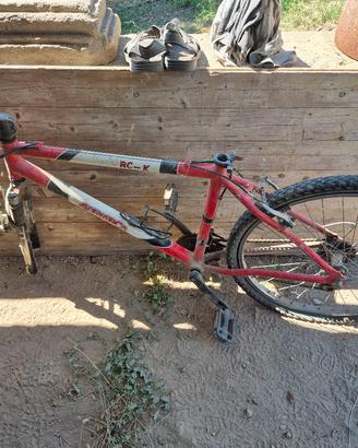 mountain bike 