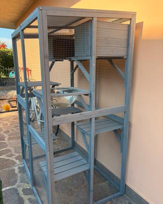Recinto per gatti da esterno
