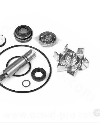KIT REVISIONE POMPA ACQUA T MAX 500 TMAX 500 04>11