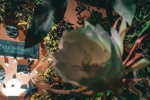 Relax e comodità in centro a Marina di Camerota