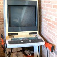 RANGER MISSION – Cabinato arcade con 2 fucili