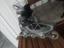 Immagine 1