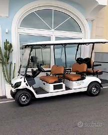 ALBA 4SC Streetcart elettrica 6 posti–immatr.2024