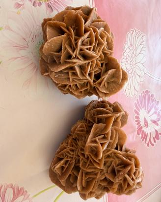 Coppia Rose del Deserto Minerali