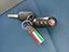 Immagine 12