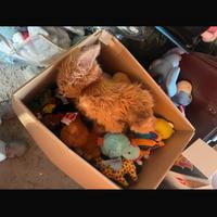 Scatolone con peluches