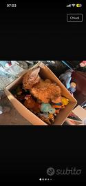 Scatolone con peluches