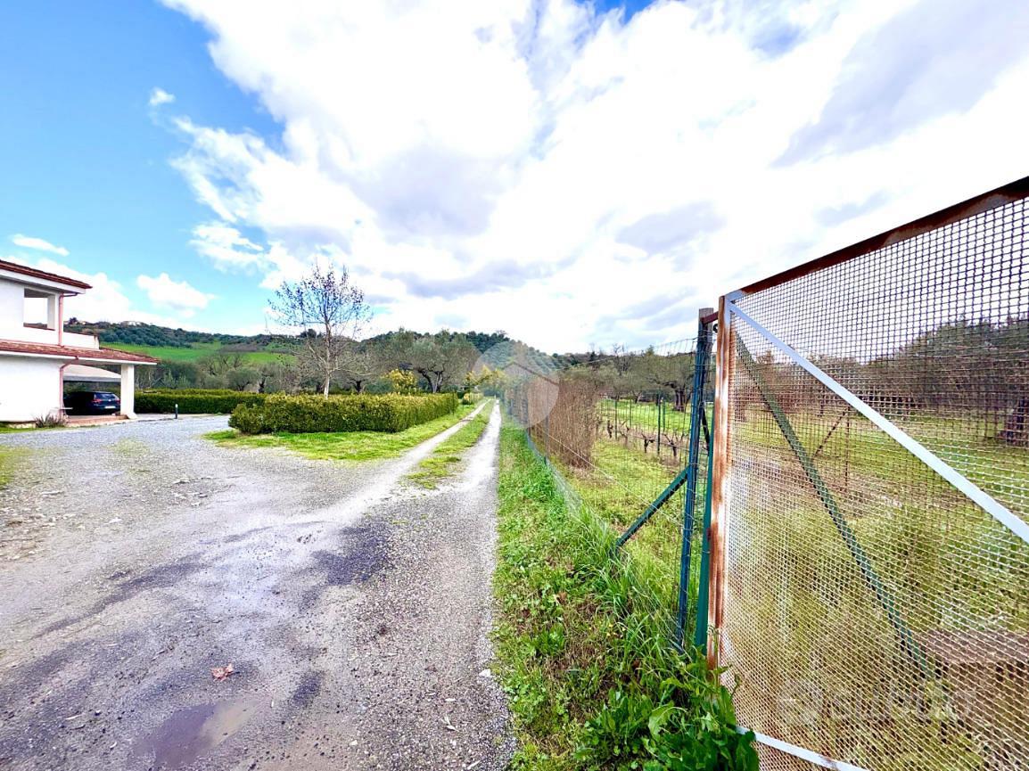 TER. RESIDENZIALE A MONTALTO UFFUGO - Vista 3