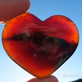 Minerale - Cuore in Ambra Rossa Santo Domingo