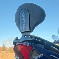 Poggia schiena maxsym 500