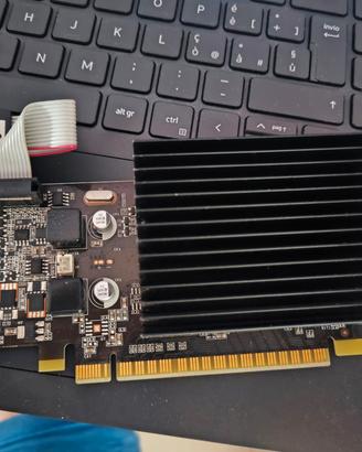 scheda video NVIDIA GeForce 210 
