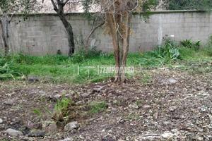 BILOCALE CON GIARDINO - VIA CAMPANIA