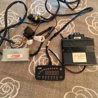 Rapidbike  kit racing